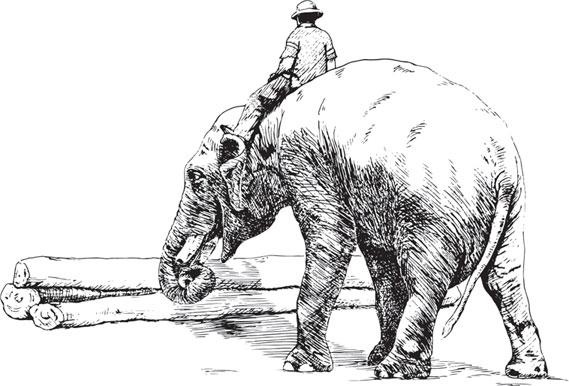 Иллюстрация к книге — Живые домики. С вопросами и ответами для почемучек [_56.jpg]