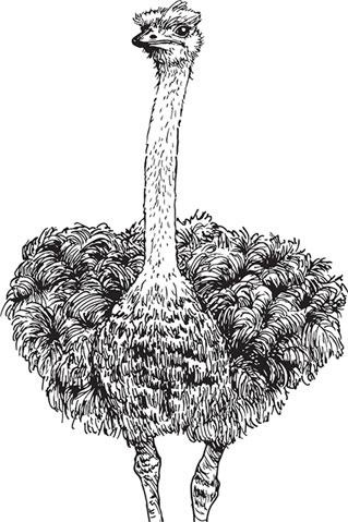 Иллюстрация к книге — Живые домики. С вопросами и ответами для почемучек [_57.jpg]