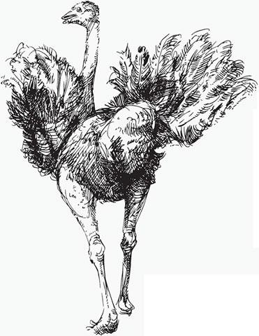 Иллюстрация к книге — Живые домики. С вопросами и ответами для почемучек [_58.jpg]