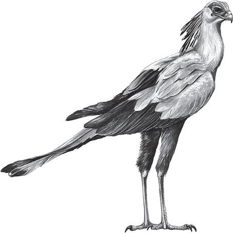 Иллюстрация к книге — Живые домики. С вопросами и ответами для почемучек [_59.jpg]