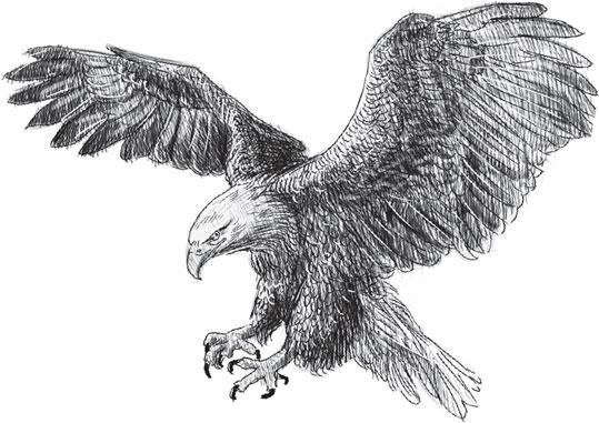 Иллюстрация к книге — Живые домики. С вопросами и ответами для почемучек [_67.jpg]