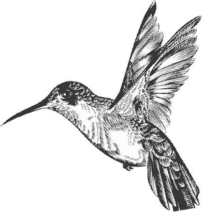 Иллюстрация к книге — Живые домики. С вопросами и ответами для почемучек [_7.jpg]