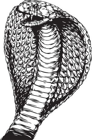 Иллюстрация к книге — Живые домики. С вопросами и ответами для почемучек [_71.jpg]