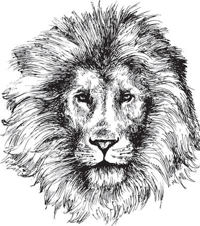 Иллюстрация к книге — Живые домики. С вопросами и ответами для почемучек [_77.jpg]