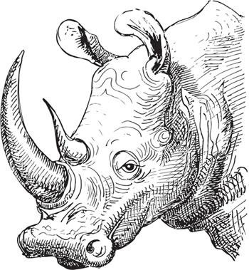 Иллюстрация к книге — Живые домики. С вопросами и ответами для почемучек [_79.jpg]