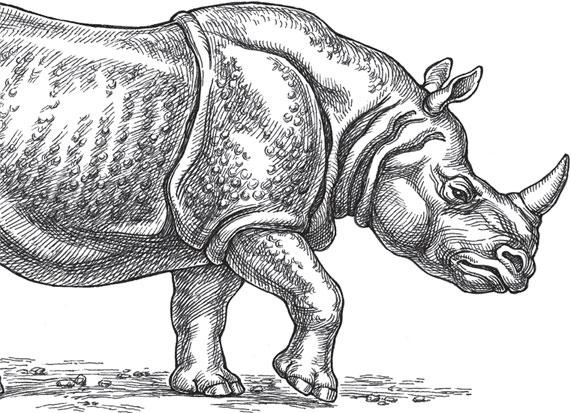 Иллюстрация к книге — Живые домики. С вопросами и ответами для почемучек [_80.jpg]