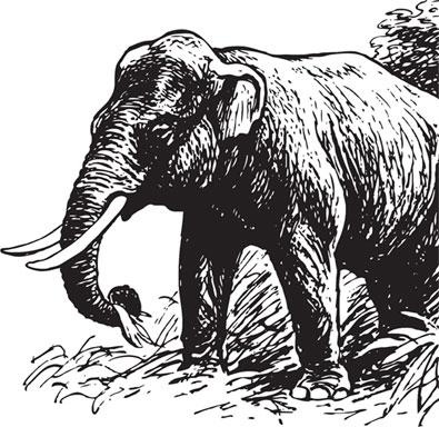 Иллюстрация к книге — Живые домики. С вопросами и ответами для почемучек [_82.jpg]