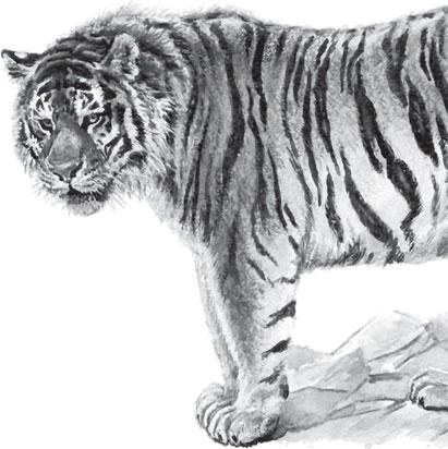 Иллюстрация к книге — Живые домики. С вопросами и ответами для почемучек [_84.jpg]