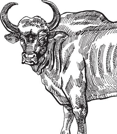 Иллюстрация к книге — Живые домики. С вопросами и ответами для почемучек [_86.jpg]