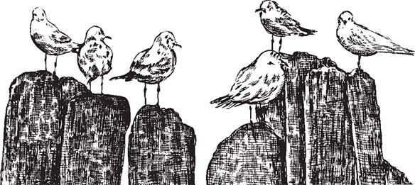 Иллюстрация к книге — Живые домики. С вопросами и ответами для почемучек [_9.jpg]