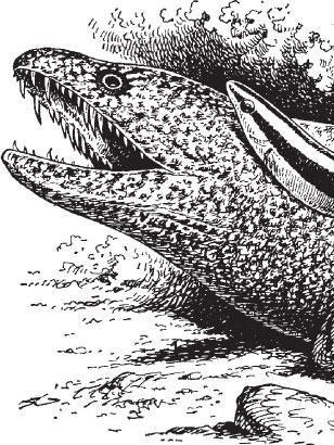 Иллюстрация к книге — Живые домики. С вопросами и ответами для почемучек [_92.jpg]