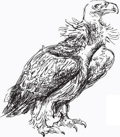 Иллюстрация к книге — Живые домики. С вопросами и ответами для почемучек [_94.jpg]