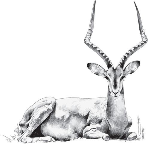 Иллюстрация к книге — Живые домики. С вопросами и ответами для почемучек [_96.jpg]