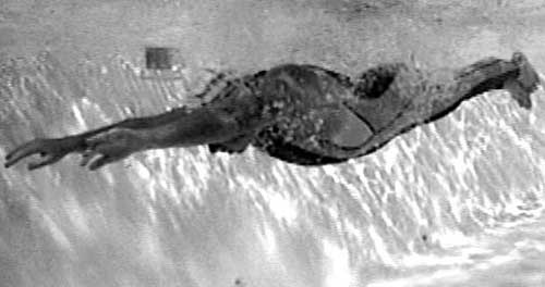 Иллюстрация к книге — Как рыба в воде. Эффективные техники плавания, доступные каждому [i_013.jpg]