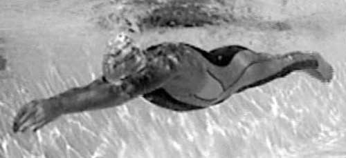 Иллюстрация к книге — Как рыба в воде. Эффективные техники плавания, доступные каждому [i_018.jpg]