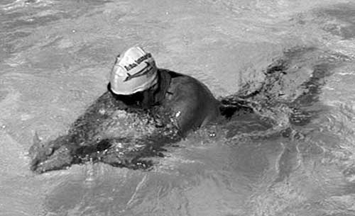 Иллюстрация к книге — Как рыба в воде. Эффективные техники плавания, доступные каждому [i_038.jpg]