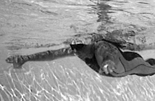 Иллюстрация к книге — Как рыба в воде. Эффективные техники плавания, доступные каждому [i_058.jpg]