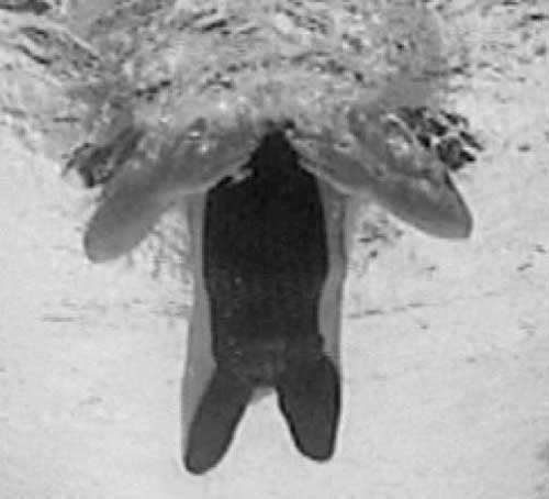 Иллюстрация к книге — Как рыба в воде. Эффективные техники плавания, доступные каждому [i_059.jpg]