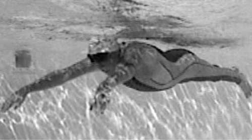 Иллюстрация к книге — Как рыба в воде. Эффективные техники плавания, доступные каждому [i_113.jpg]