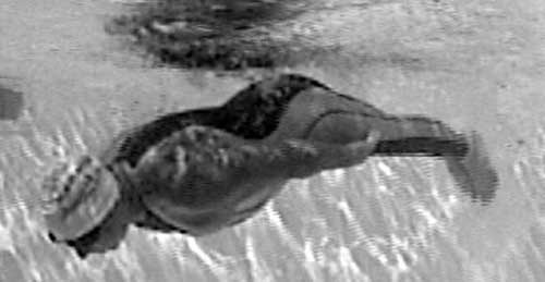 Иллюстрация к книге — Как рыба в воде. Эффективные техники плавания, доступные каждому [i_117.jpg]