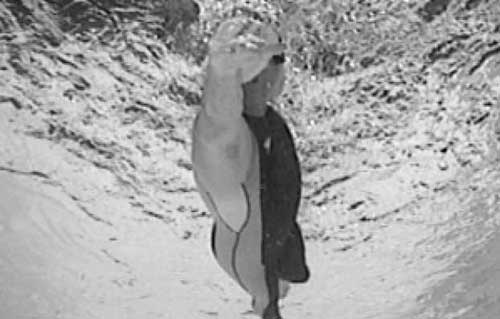 Иллюстрация к книге — Как рыба в воде. Эффективные техники плавания, доступные каждому [i_171.jpg]