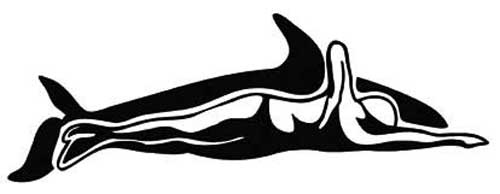 Иллюстрация к книге — Как рыба в воде. Эффективные техники плавания, доступные каждому [i_174.jpg]