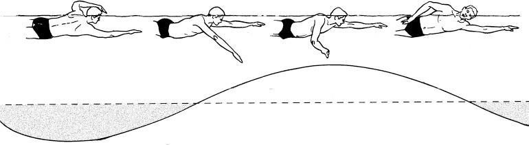 Иллюстрация к книге — Полное погружение. Как плавать лучше, быстрее и легче [_2.jpg]