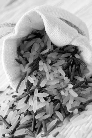 Иллюстрация к книге — Новый счетчик калорий [_11.jpg]