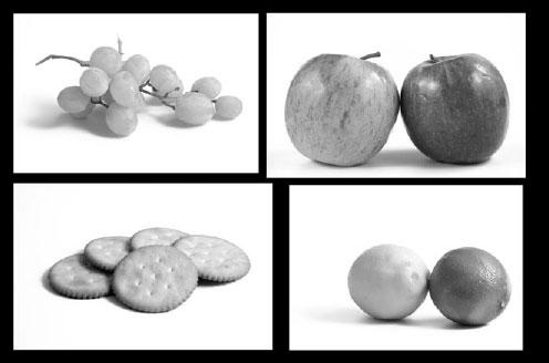 Иллюстрация к книге — Новый счетчик калорий [_87.jpg]