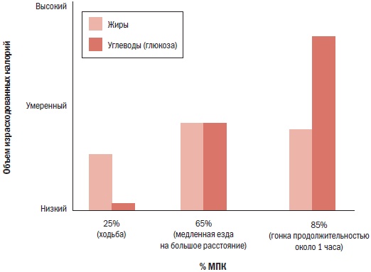 Иллюстрация к книге — Библия велосипедиста [i_003.jpg]