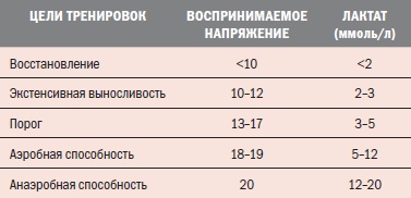 Иллюстрация к книге — Библия велосипедиста [i_006.jpg]