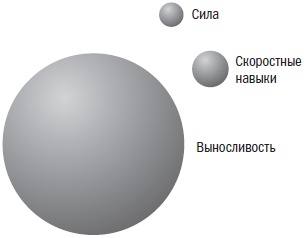 Иллюстрация к книге — Библия велосипедиста [i_061.jpg]