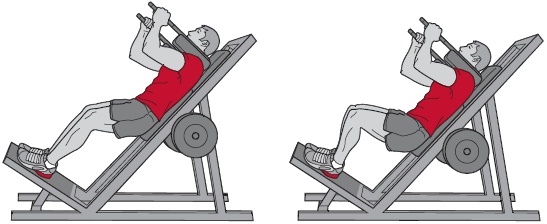 Иллюстрация к книге — Библия велосипедиста [i_121.jpg]