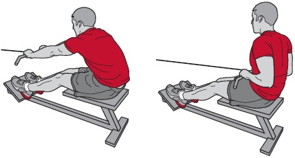 Иллюстрация к книге — Библия велосипедиста [i_125.jpg]