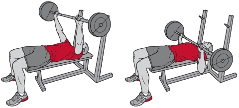 Иллюстрация к книге — Библия велосипедиста [i_126.jpg]