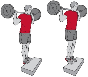 Иллюстрация к книге — Библия велосипедиста [i_128.jpg]