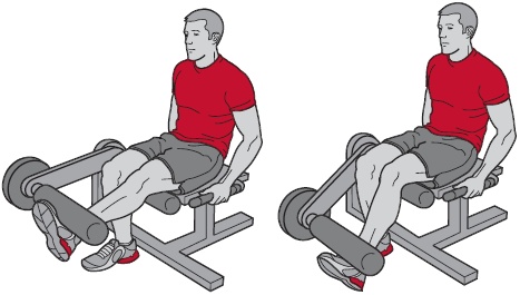 Иллюстрация к книге — Библия велосипедиста [i_129.jpg]