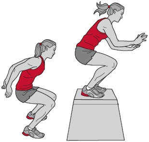 Иллюстрация к книге — Библия велосипедиста [i_134.jpg]