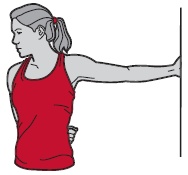 Иллюстрация к книге — Библия велосипедиста [i_140.jpg]