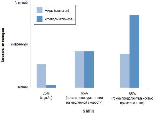 Иллюстрация к книге — Библия триатлета [i_010.jpg]