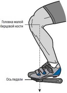 Иллюстрация к книге — Библия триатлета [i_100.jpg]