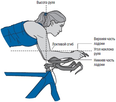 Иллюстрация к книге — Библия триатлета [i_102.jpg]