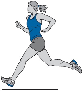 Иллюстрация к книге — Библия триатлета [i_107.jpg]