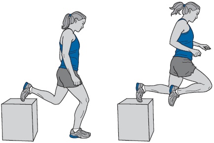 Иллюстрация к книге — Библия триатлета [i_108.jpg]