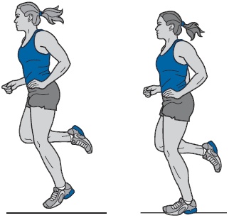 Иллюстрация к книге — Библия триатлета [i_109.jpg]