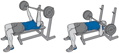 Иллюстрация к книге — Библия триатлета [i_123.jpg]