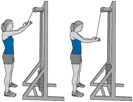 Иллюстрация к книге — Библия триатлета [i_130.jpg]