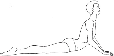 Иллюстрация к книге — Йога с нуля. Основные асаны [Autogen_eBook_id11.jpg]