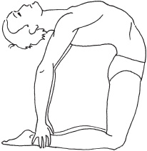 Иллюстрация к книге — Йога с нуля. Основные асаны [Autogen_eBook_id22.jpg]