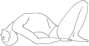 Иллюстрация к книге — Йога с нуля. Основные асаны [Autogen_eBook_id5.jpg]